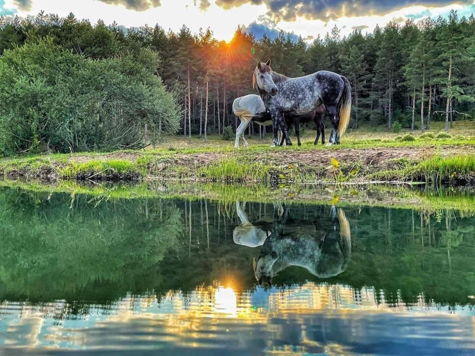 Apartman "Park" Livno Esterno foto